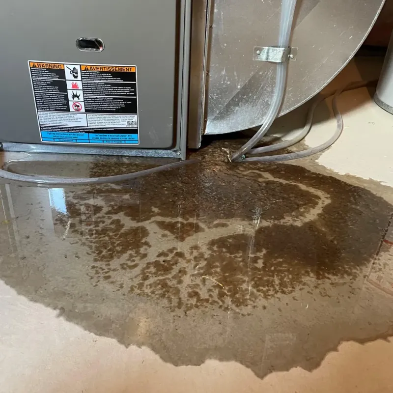 Appliance Leak Cleanup in Raymond, WA